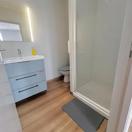 Апартаменты Cosy Entre Gare Et Centre Ville, Toutes Commodites A Pied *