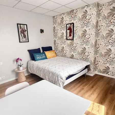 Cosy Entre Gare Et Centre Ville, Toutes Commodites A Pied